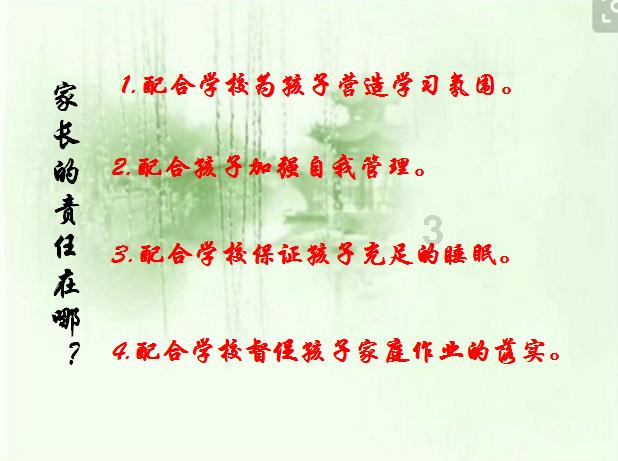 可爱小猫的发廊